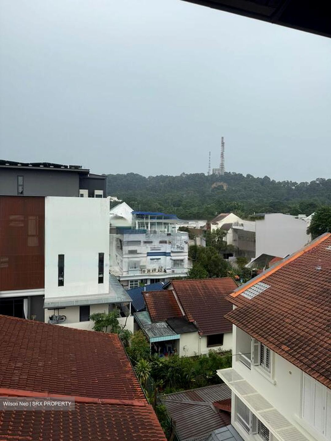Binjai Park (D21), Semi-Detached #467691081